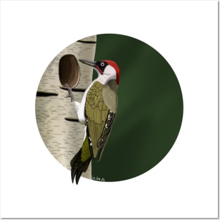 jz.birds Green Woodpecker Bird Animal Design Illustration Posters and Art